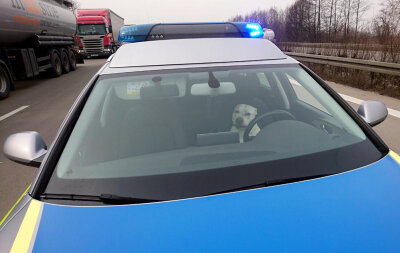 Zwei ausgebüxte Hunde machen es sich in Polizeiauto bequem - Ein Hund sitzt auf der Autobahn 2 auf dem Fahrersitz eines Polizeiwagens.