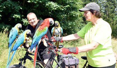 Zwei Hessen und vier Papageien erkunden per Fahrrad das Vogtland - 