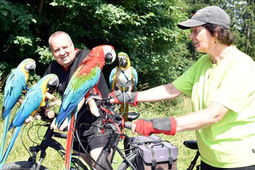 Zwei Hessen und vier Papageien erkunden per Fahrrad das Vogtland - 