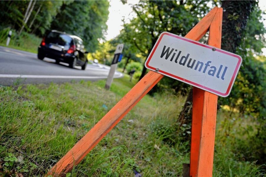 Zwei Wildunfälle im Vogtland - Zwei Wildunfälle passierten am Mittwochabend im Vogtland.