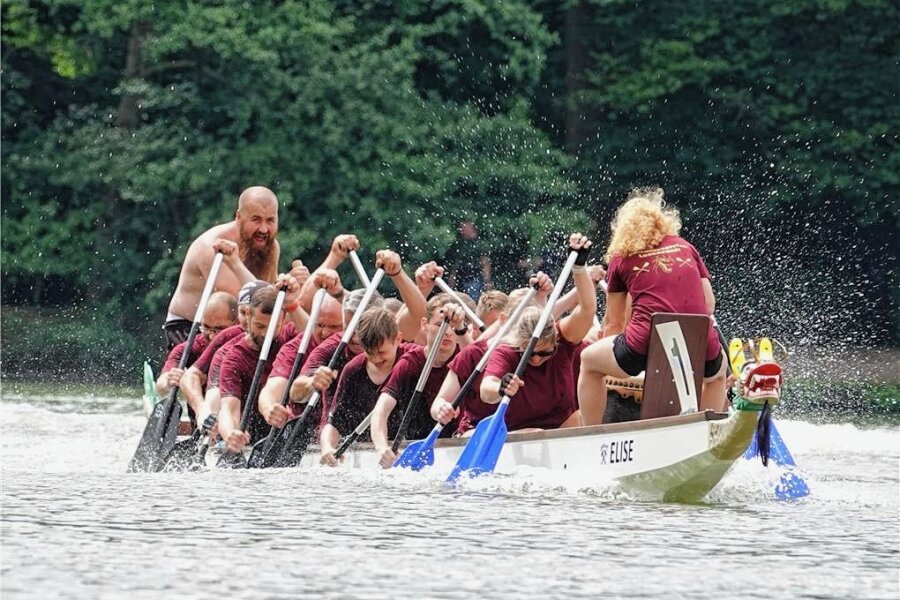 Zwickau: Drachenbootrennen lockt am Samstag zum Schwanenteich - Das Drachenbootrennen auf dem Schwanenteich ist immer ein Spektakel für Teilnehmer und Zuschauer.