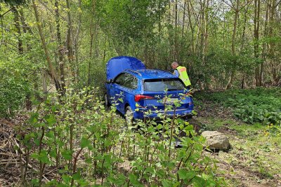 Zwickau: Mann erfasst mit Auto seine Ehefrau - Das Fahrzeug blieb schließlich auf einer angrenzenden Wiese stehen.