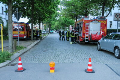 Zwickau: Wohnung nach Küchenbrand nicht mehr bewohnbar - Am Donnerstagabend wurden Feuerwehr und Polizei zu einem Küchenbrand in Zwickau gerufen.