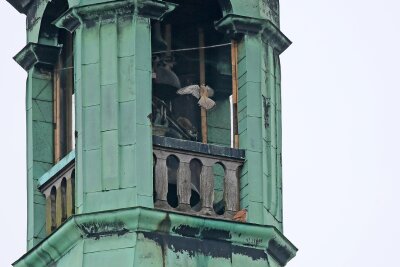 Zwickauer Feuerwehr rettet verirrten Turmfalken von Gewandhaus-Dach - Ein Turmfalke hat sich am Freitagnachmittag im Drahtzaun der Kuppel des Gewandhauses verfangen.