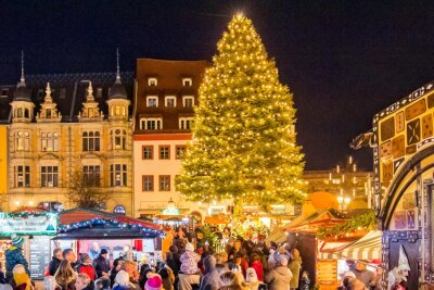 Zwickauer starten Suche nach Baum für diesjährigen Weihnachtsmarkt - Für den Zwickauer Weihnachtsmarkt 2022 wurde dieser prächtige Baum ausgewählt.