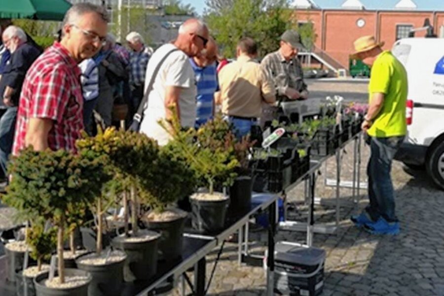 Zwickauer Steingartenverein bereitet Pflanzenbörse vor - Jeweils m Frühjahr wird zur Pflanzenbörse eingeladen. 