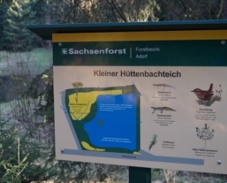 Zwotaer Hüttenbachtal: Neue Route hat erste Fans gefunden - Auch am Kleinen Hüttenbachteich steht eine der neu gestalteten Tafeln des Lehrpfades. 