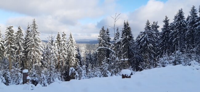 Blick in den Winterwald im Erzgebirge w&auml;hrend einer Wanderung.