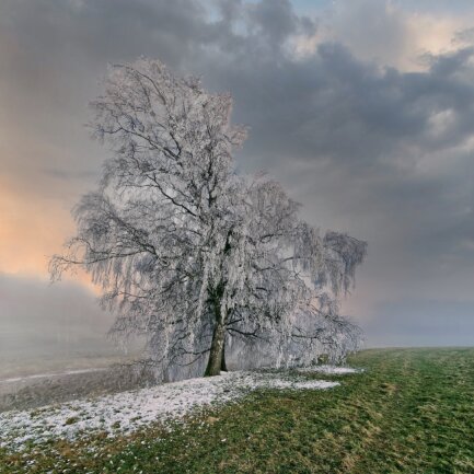 Fr&uuml;hling im Winter. An wenigen Tagen ist dieses unreal Wetter Ph&auml;nomen in Bad Brambach zu sehen. Gr&uuml;ne Wiesen und Schnee. Es sind solch besondere Momente die ich an der Fotografie liebe 