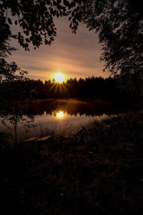 Sonnenaufgang am Elterleiner Teich. So gegen 6:00Uhr wenn die Sonne &uuml;ber den Baumkronen erscheint. Ein fantastischer Anblick im Sommer. 