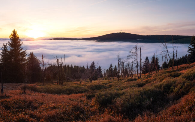 Im Herbst ist unser Erzgebirge am sch&ouml;nsten. Hier ragt der Keilberg zum Sonnenaufgang aus einem Meer aus Wolken.