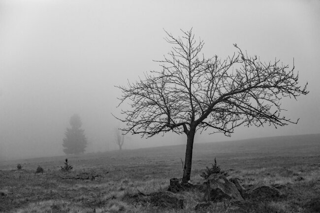 B&ouml;hmischer Nebel - Eine Aussicht ist nicht immer das, was man sieht, sondern auch das was man hofft zu sehen. 