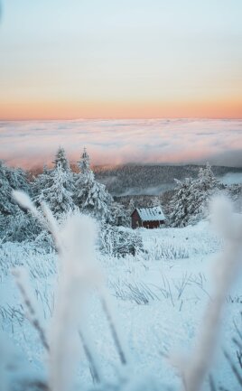 Doch es gab, wenn auch nur vereinzelt, wahre Wintertr&auml;ume zu erhaschen! Wie hier eines morgens am Keilberg mit Blick auf ein wundersch&ouml;nes Wolkenmeer.