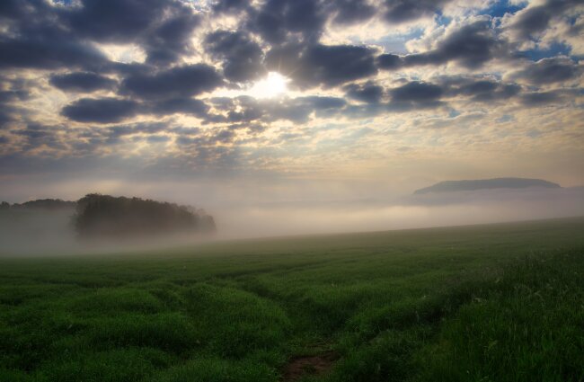 Auf dem Weg zur Arbeit fotografiert, ein Blick auf den P&ouml;hlberg im Morgennebel.