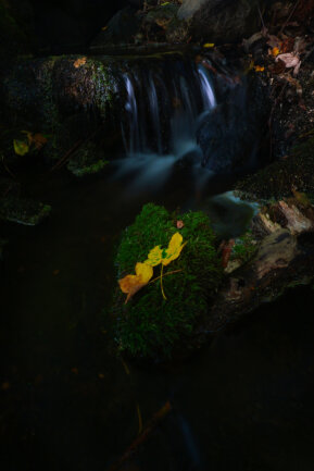 Im Herbst finden sich viele bunt gef&auml;rbte Bl&auml;tter im Wald. Mit der perfekten Komposition aus bewegtem Wasser und die Stille der fallenden Bl&auml;tter entstand dieses Bild.