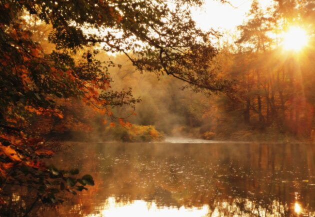 Goldener Oktober an der Zschopau. Sonnenaufg&auml;nge im Herbst k&ouml;nnen so sch&ouml;n sein. Sonne und goldenes Laub zaubern ein herbstliches Ambiente.