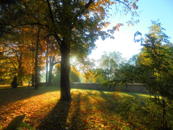Das Bild zeigt einen wundersch&ouml;nen Herbstmoment des Parks der Villa G&uuml;ckelsberg in Fl&ouml;ha, welchen ich bei meinem Hobby, das Fotografieren, vor zirka drei Jahren aufnahm.