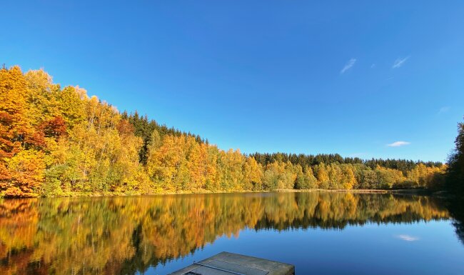 Herbstzauber am Vorbecken der Saidenbach Talsperre