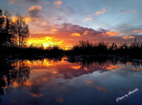 Pf&uuml;tzenbild<br />
Sonnenaufgang, gespiegelt in einer Pf&uuml;tze, aufgenommen in Elterlein am 26.05.2021