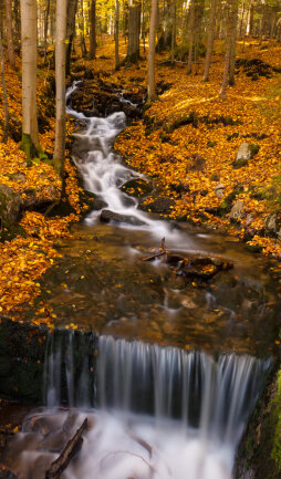 Leuchtende Herbstfarben am Zufluss der Talsperre Sosa.
