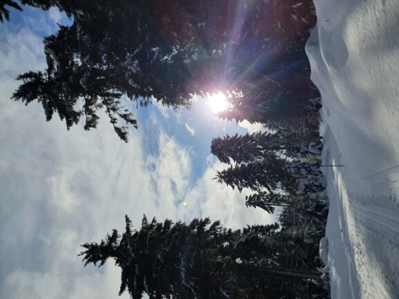 Irgendwo zwischen Tellerh&auml;user und dem Fichtelberg in der Loipe. Beim Langlauf kann ich die Natur und den Schnee genie&szlig;en und den Kopf frei bekommen.
